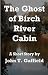 The Ghost of Birch River Cabin