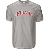 Champion Indiana Hoosiers Men's T-Shirt