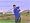 Tiger Woods PGA Tour 07 (Wii)
