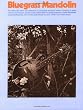 Bluegrass Mandolin