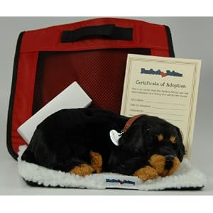 Perfect Petzzz Rottweiler by 