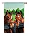 Garden Size Flag, Horses by the Fence