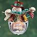 51GkW%2B5JGqL. SL75  Christmas Ornaments