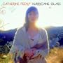Unsteady Ground (new version)