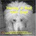 Bad Hair Day-Having A Bad Hair Day!