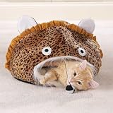 Jungle Cat Cave