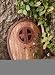 Double Door with Vine Garden D?cor