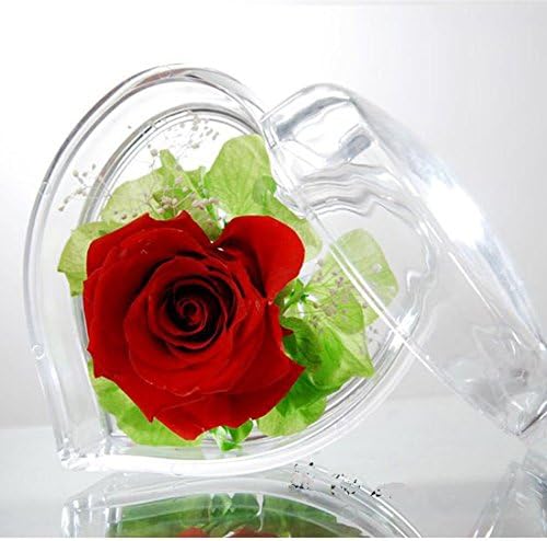 Xuuyuu (Tm)valentine's Day Gift Christmas Gift Rose Flower Preservation Ring Box