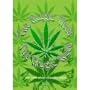 Magic Weed - The Truth About Cannabis Sativa