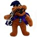 Wizard Bear Key Chain - 3rd Year - Celebrity Bear