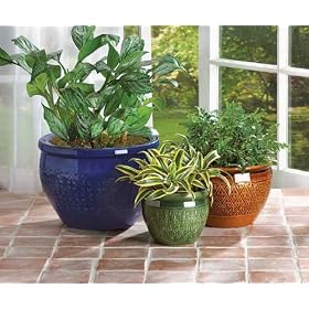 Jewel-Tone Flower Pot Trio - Style 38899