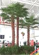 20' Artificial Washingtonia Palm Tree