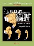 The Human Brain During the Early First Trimester (Atlas of Human Central Nervous System Development)
