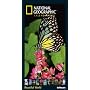 National Geographic Beautiful World 2011 (Poster Cal)