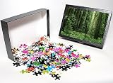 Photo Jigsaw Puzzle of Coast Redwoods from Ardea Wildlife Pets
