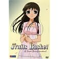 Big Save Fruits Basket: A Great Transformation v.1