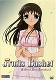 Fruits Basket: A Great Transformation v.1