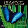 Pema Chodron, Awakening the Heart 2011 Mini Calendar (7 x 7 inch)