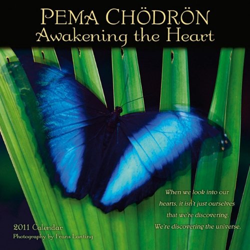 Pema Chodron Awakening the 7 inch)