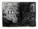Historic Print (L): Tom Paine's nightly pest / Js. Gy. design et fect. - pro bono publico.