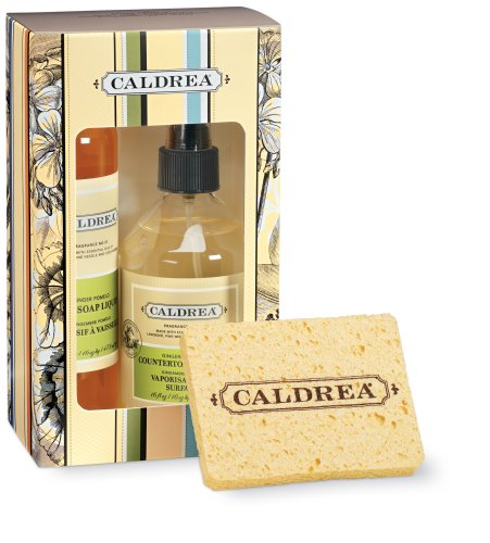Caldrea Kitchen Starter Set, Ginger Pomelo, 16-Ounce Box by Caldrea