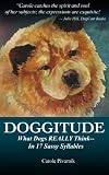 Doggitude: What Dogs REALLY Think--In 17 Sassy Syllables