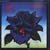Black Rose