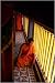 Photographic Print of Buddhist Monks inside the Soc Trang Monastery from AWL Discover Images.com