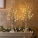 Vanthylit 2FT 24LT Pre-lit White Birch Tree Decorative Light Tabletop-2PC
