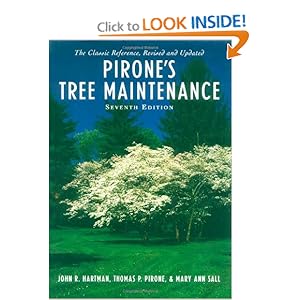 Tree Maintenance