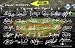 Tampa Bay Rays PERSONALIZED Plaque with Players' Replica Signatures