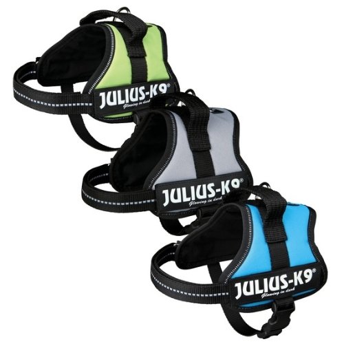 Julius K9 Powergeschirr Mini M: