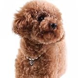 Alfie Couture Designer Pet Jewelry - Zoe Crystal Heart Pearl Necklace - Size: S (7- 9) for Dogs and Cats