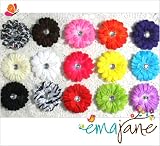 Ema Jane - 14 Cute Assorted Ema Jane Boutique Quality Small Gerber Daisy Hair Clip Bows (Headbands Not Included) - Infant, Baby, Toddlers, Youth, Young Girls (Headbands Not Included) - Hair Clip Attaches to a Headband or Beanie
