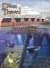 Dive Travel Bonaire A Tropical Desert Island 51GmPf%2BHEzL. SL75 The all exquisite Dubai Dhow Cruise