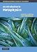 An Introduction to Metaphysics (Cambridge Introductions to Philosophy)