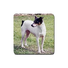 Rat Terrier Rubber Square Coaster (4 pack) by Good Guy Watches & Accessories