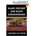 Black Culture and Black Consciousness: Afro-American Folk Thought from Slavery to Freedom