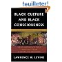 Black Culture and Black Consciousness: Afro-American Folk Thought from Slavery to Freedom