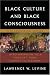 Black Culture and Black Consciousness: Afro-American Folk Thought from Slavery to Freedom