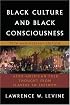 Black Culture and Black Consciousness: Afro-American Folk Thought from Slavery to Freedom