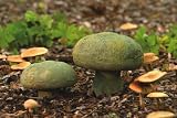 Small Antiqued Mossy Mushroom Garden Statuary