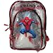 Spider-Man Clear Backpack