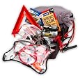 AAA 77 Piece Warrior Road Assistance Kit