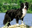 Border Collies, for the Love of 2010 Deluxe