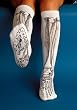 White Bones Socks (26AKL)