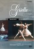 Giselle - IMPORT