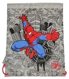 Spiderman Grey & Red Trainer Bag