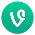 Vine