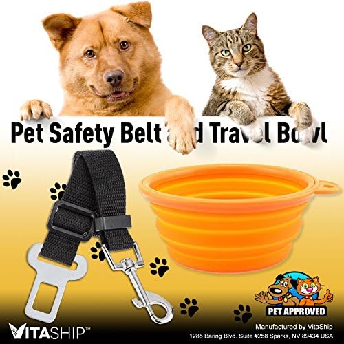 Travel Collapsible Dog Bowl and Dog Seat Belt Harness Clip Gift Set by VitaShip - The BEST Pet Travel Bowl for Water &amp; Food Bowls in Vibrant Colors - Amazon A to Z Guarantee (Orange)